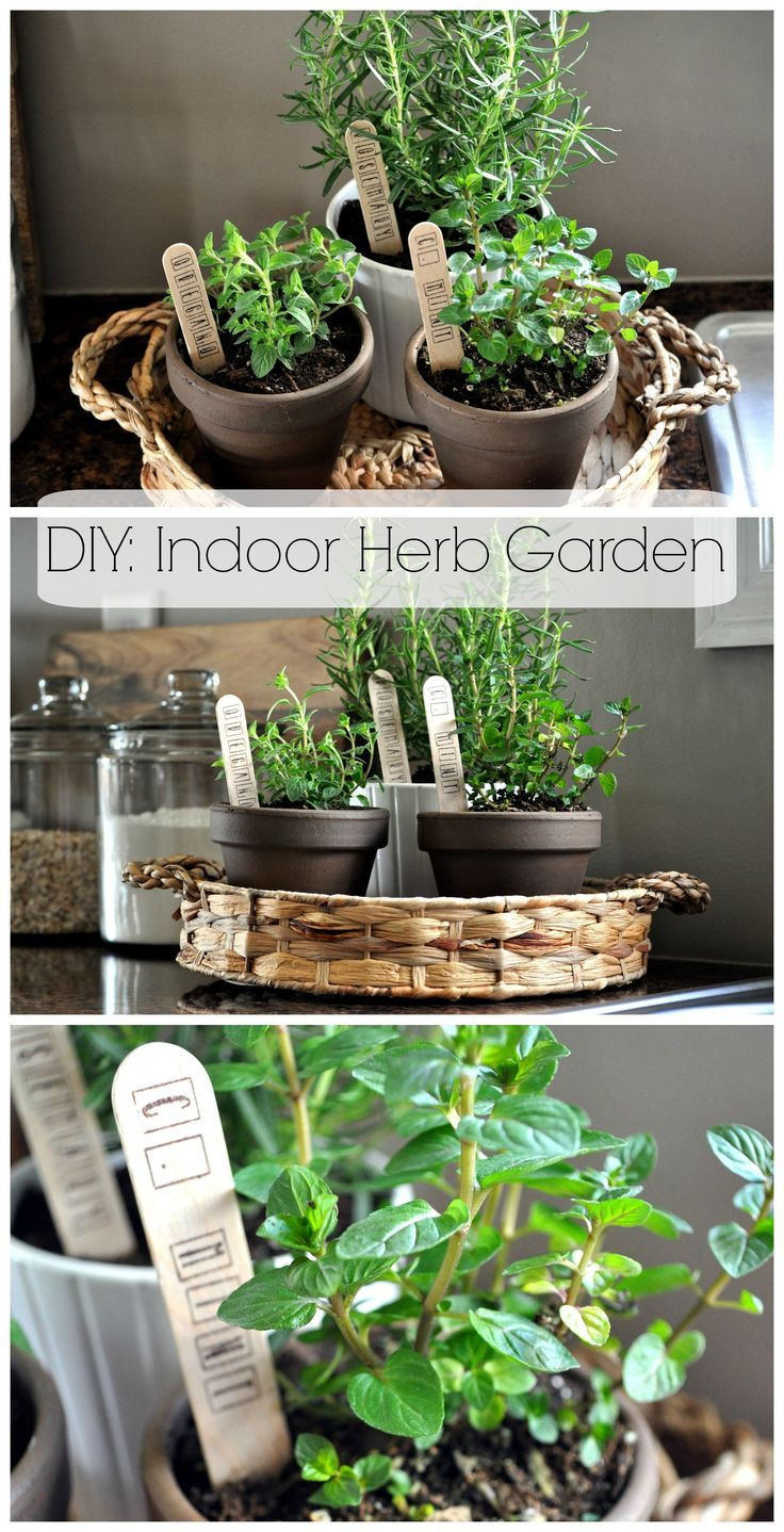 Best ideas about DIY Indoor Herb Garden
. Save or Pin 17 Best ideas about Indoor Window Garden on Pinterest Now.