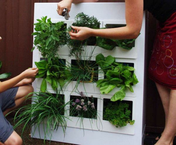 Best ideas about DIY Indoor Herb Garden
. Save or Pin 25 Cool DIY Indoor Herb Garden Ideas Hative Now.