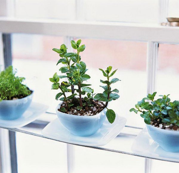 Best ideas about DIY Indoor Herb Garden
. Save or Pin 25 Awesome Indoor Garden Herb DIY ideas 25 Awesome Now.