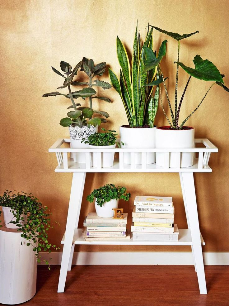 Best ideas about DIY Indoor Plant Stand
. Save or Pin Best 10 Indoor plant decor ideas on Pinterest Now.