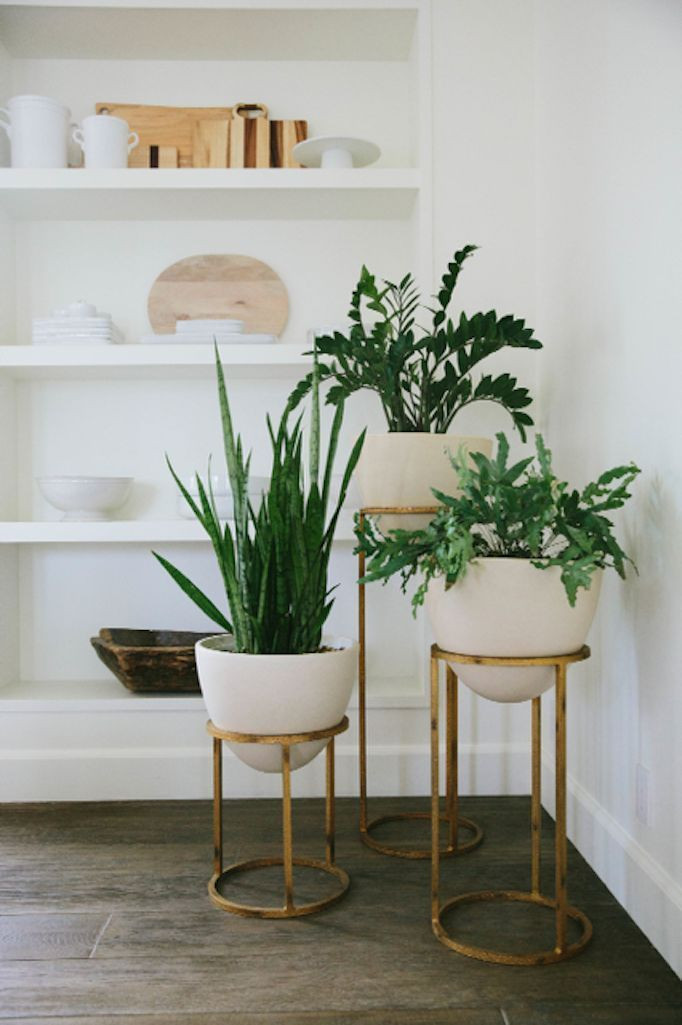 Best ideas about DIY Indoor Plant Stand
. Save or Pin Best 25 Plant stands ideas on Pinterest Now.
