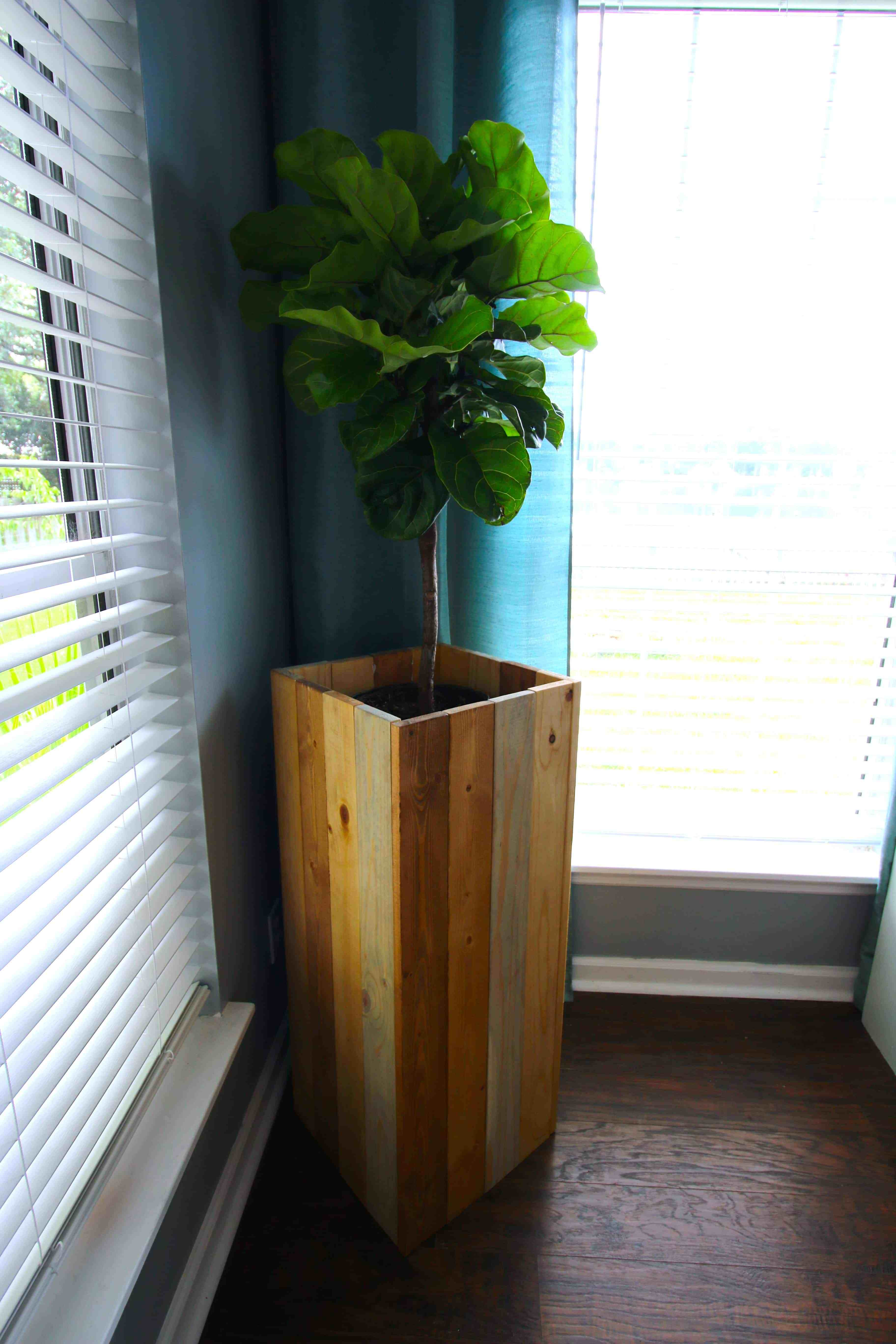 Best ideas about DIY Indoor Plant Stand
. Save or Pin DIY Elevated Plant Stand for Fiddle Leaf Figs and Other Now.