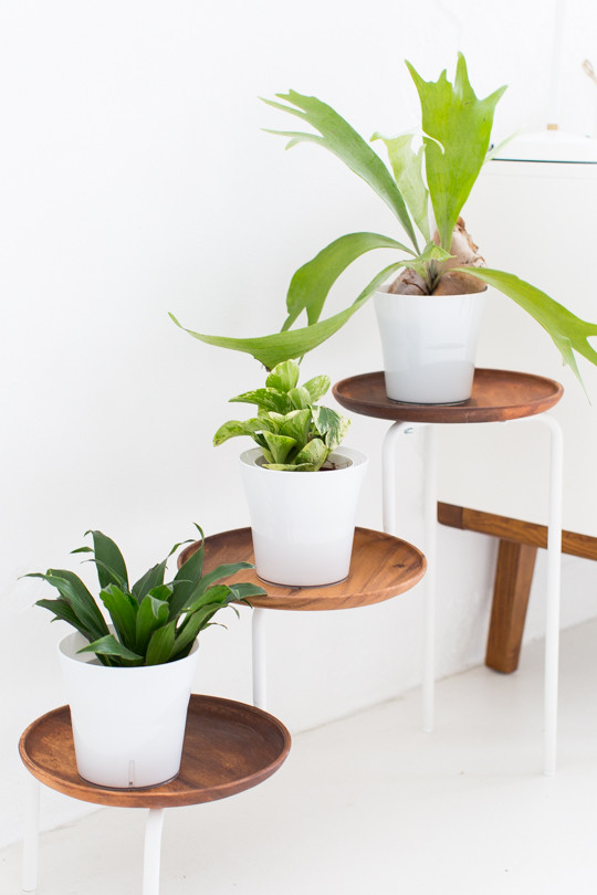 Best ideas about DIY Indoor Plant Stand
. Save or Pin Modern Acacia Wood Plant Stand DIY Now.