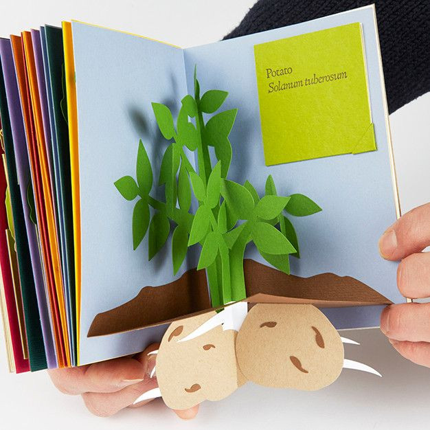 Best ideas about DIY Kids Book
. Save or Pin 25 best ideas about Pop Up Books on Pinterest Now.