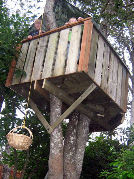 Best ideas about DIY Kids Treehouse
. Save or Pin How to build a treehouse Now.