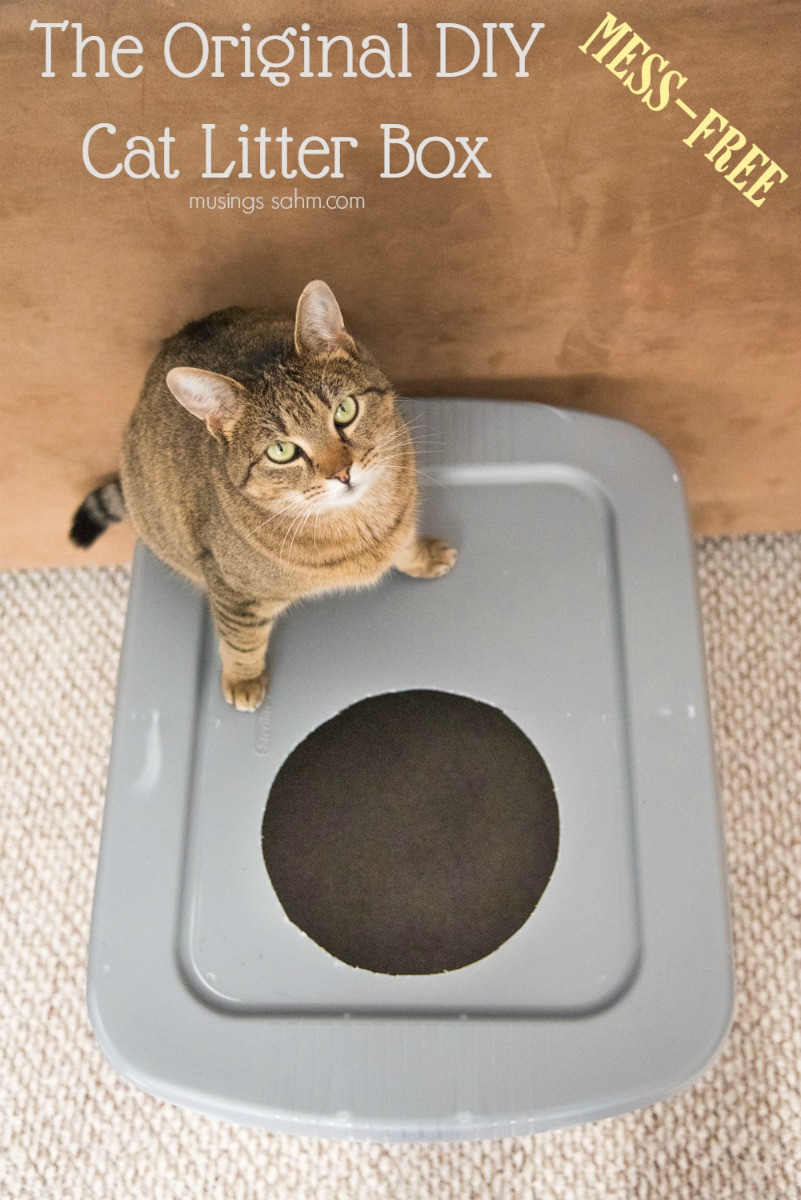 Best ideas about DIY Kitty Litter
. Save or Pin The Original DIY Mess Free Cat Litter Box Living Well Mom Now.
