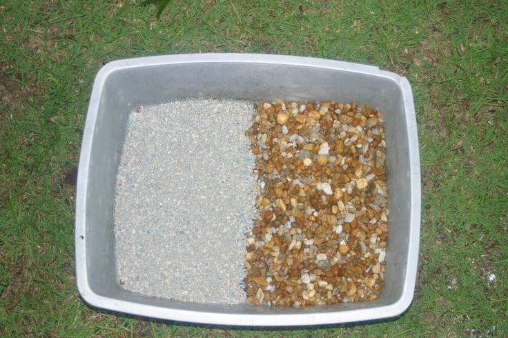 Best ideas about DIY Kitty Litter
. Save or Pin Hmmmph DIY Kitty Litter interesting To do Now.