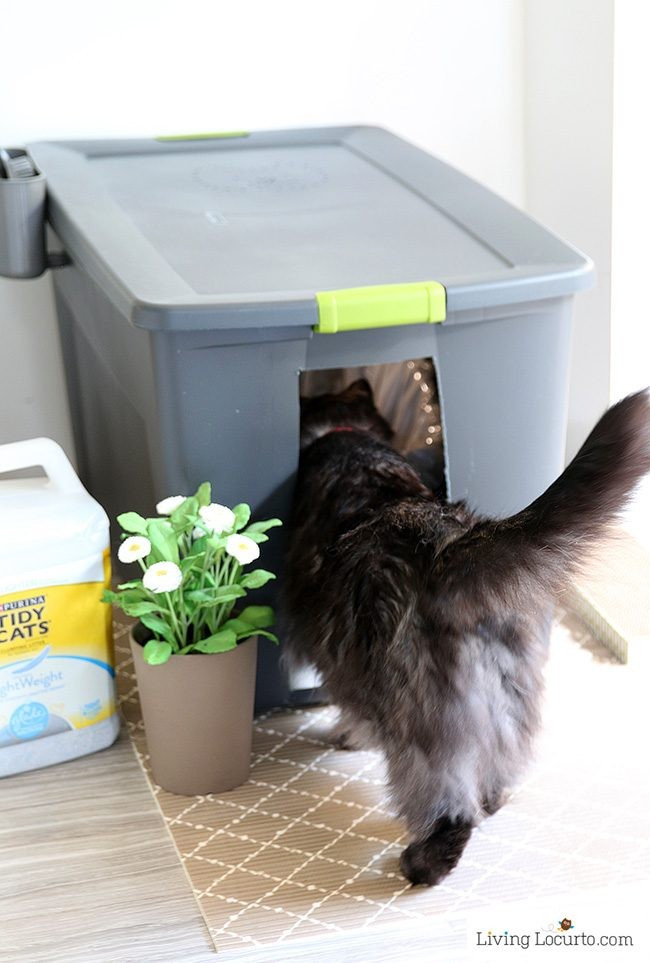 Best ideas about DIY Kitty Litter
. Save or Pin DIY Cat Litter Box Holder Now.