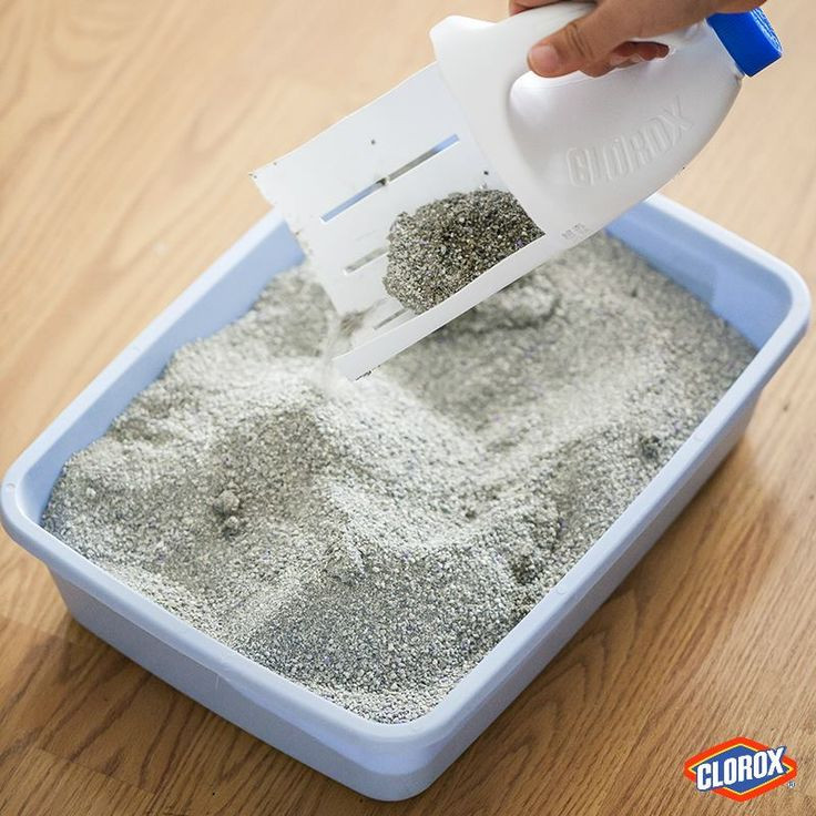 Best ideas about DIY Kitty Litter
. Save or Pin 17 Best images about Clorox Crafts on Pinterest Now.