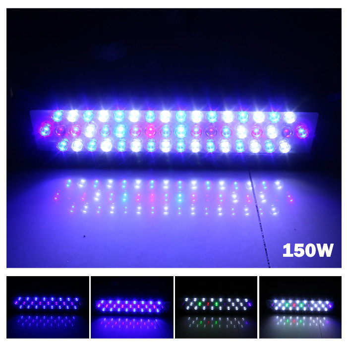 Best ideas about DIY Led Reef Light
. Save or Pin Odm Diy Led Reef Lighting Kits By You Need 150w Led Now.