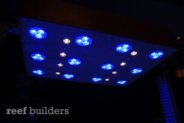 Best ideas about DIY Led Reef Light
. Save or Pin DIY LED fixture made out of Birdseye wood News Reef Now.