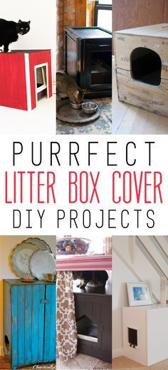 Best ideas about DIY Litter Box Cover
. Save or Pin Purrfect Litter Box Cover DIY Projects Now.