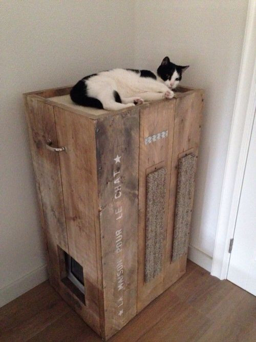 Best ideas about DIY Litter Box Furniture
. Save or Pin 8 Creative Ways to Hide Your Cat s Litter Box Now.