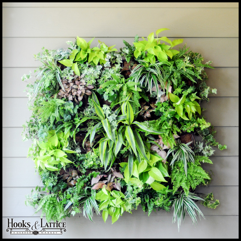 Best ideas about DIY Living Wall
. Save or Pin Living Wall Planters DIY Living Wall Systems Now.