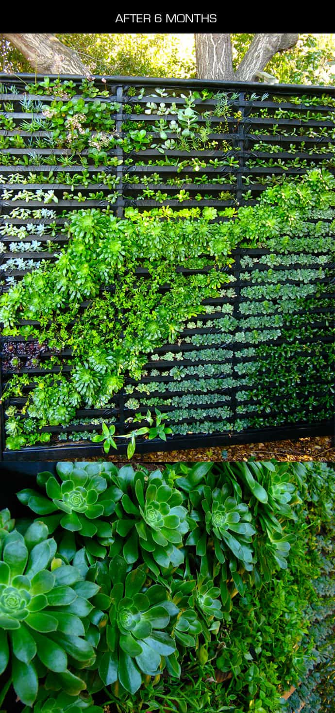 Best ideas about DIY Living Wall
. Save or Pin Cool DIY Green Living Wall Projects For Your Home Now.