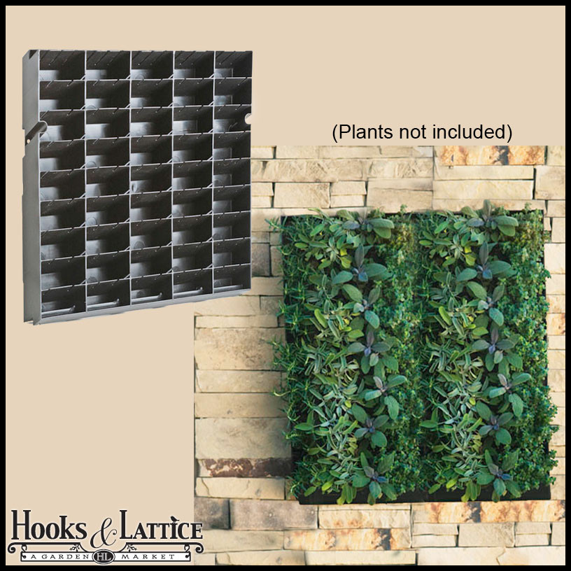Best ideas about DIY Living Wall
. Save or Pin DIY Living Wall Vertical Gardening Now.