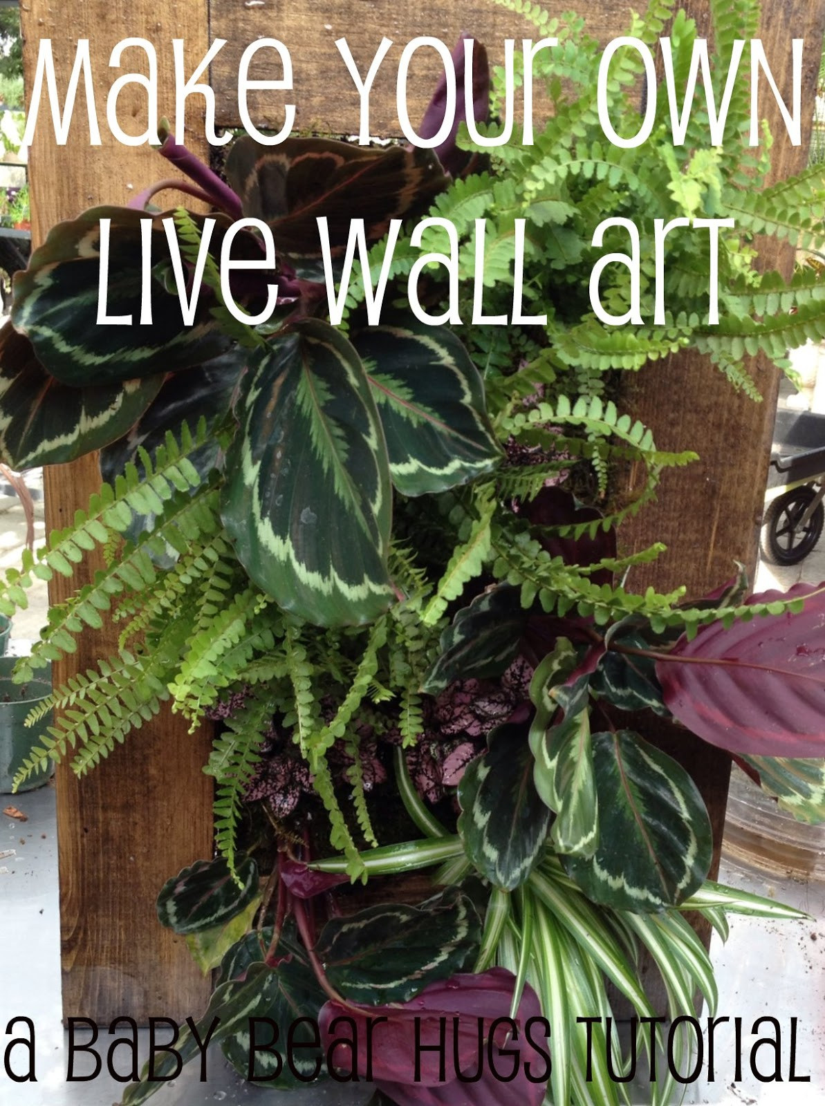 Best ideas about DIY Living Wall
. Save or Pin Baby Bear Hugs DIY living wall tutorial Now.