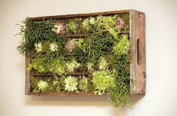 Best ideas about DIY Living Wall
. Save or Pin Cool DIY Green Living Wall Projects For Your Home Now.