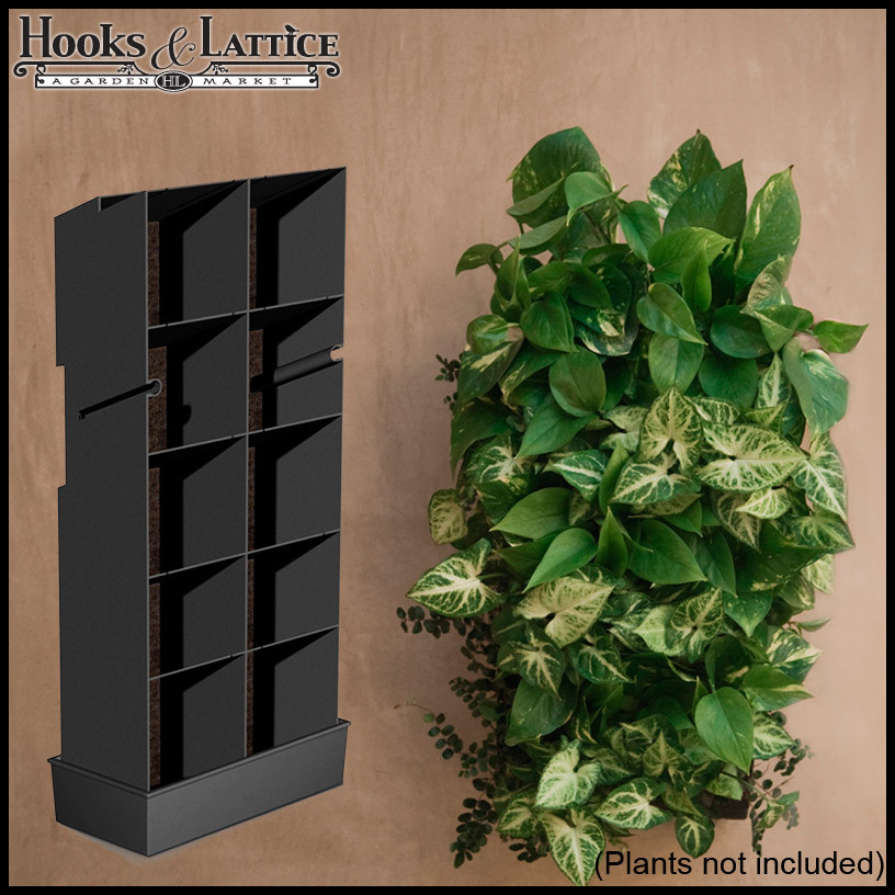 Best ideas about DIY Living Wall
. Save or Pin DIY Living Wall Vertical Gardening Now.