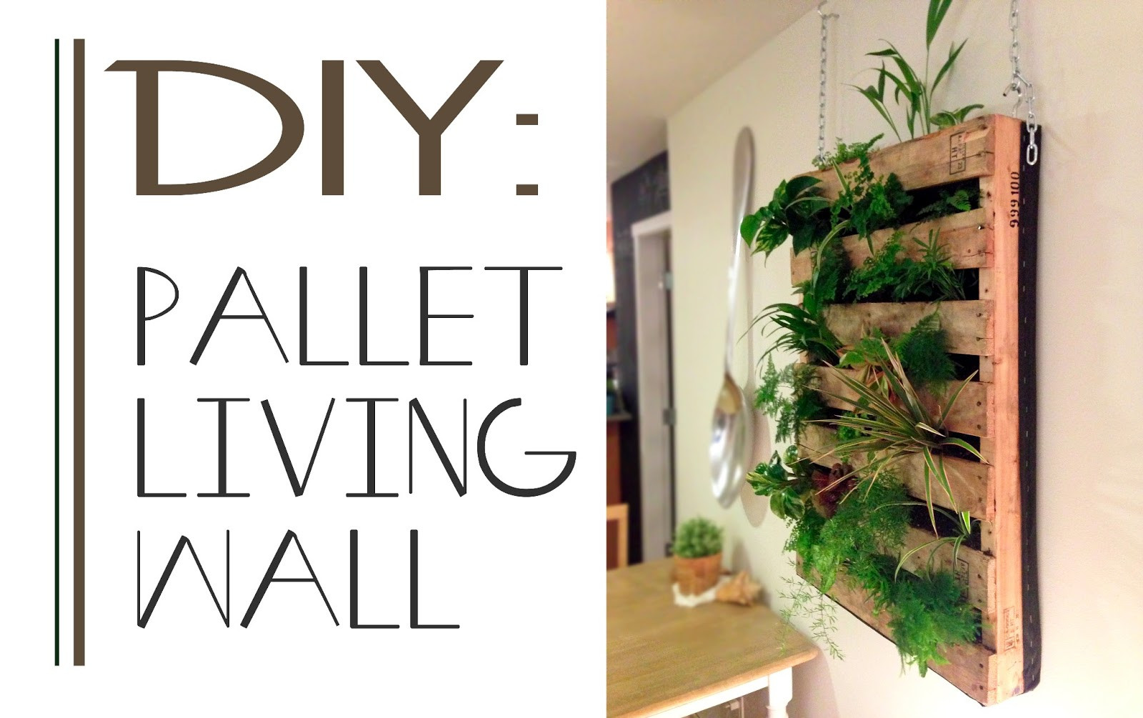 Best ideas about DIY Living Wall
. Save or Pin The Brew DIY Pallet Living Wall Now.