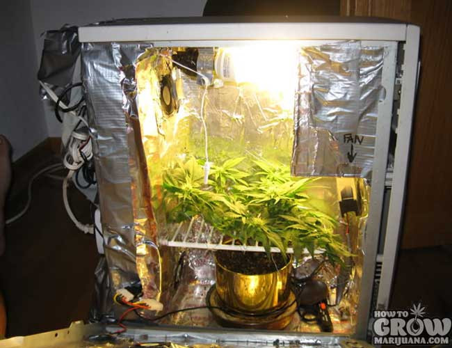 Best ideas about DIY Marijuana Grow Box
. Save or Pin PC Grow Box Review Now.