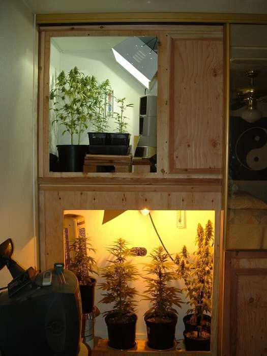 Best ideas about DIY Marijuana Grow Box
. Save or Pin Grow Boxes are Stuff Stoners Like Now.