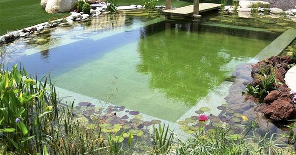 Best ideas about DIY Natural Pool
. Save or Pin DIY Natural Pools – Build your own Swimming Pond Now.