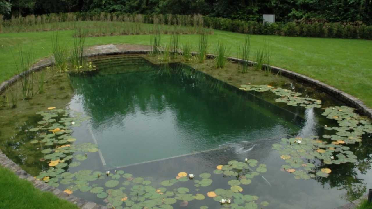 Best ideas about DIY Natural Pool
. Save or Pin Natural Swimming Pools Now.