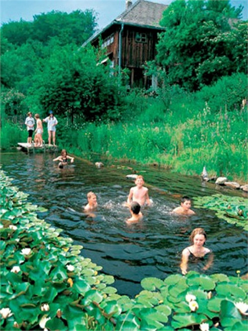 Best ideas about DIY Natural Pool
. Save or Pin Top 10 Stunning Natural Pools Now.