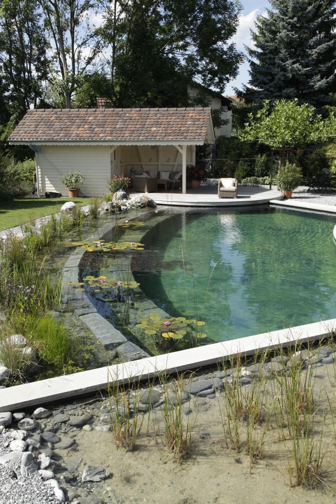 Best ideas about DIY Natural Pool
. Save or Pin How to build a natural swimming pool DIY Now.