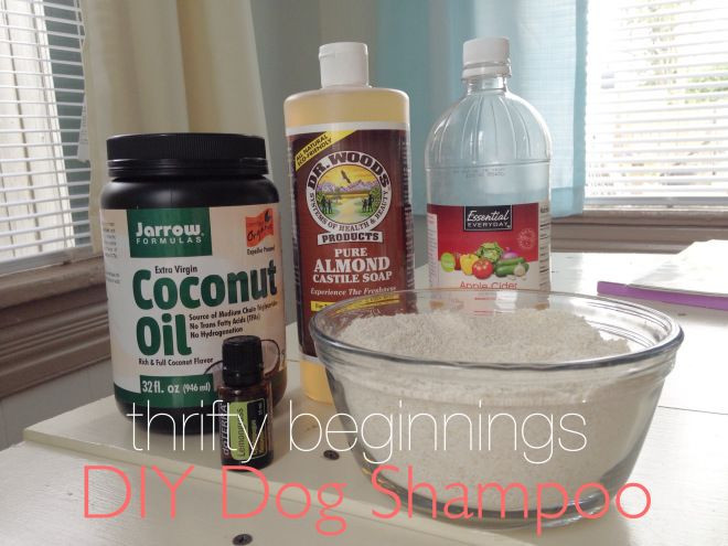 Best ideas about DIY Oatmeal Dog Shampoo
. Save or Pin DIY Dog Shampoo Natural Homemade Castile Oatmeal Coconut Now.