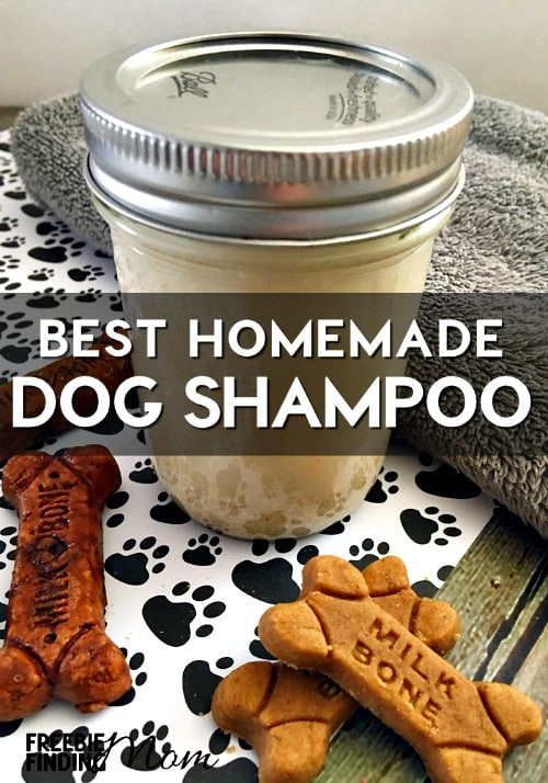 Best ideas about DIY Oatmeal Dog Shampoo
. Save or Pin Best Homemade Dog Shampoo All Natural Oatmeal Dog Shampoo Now.