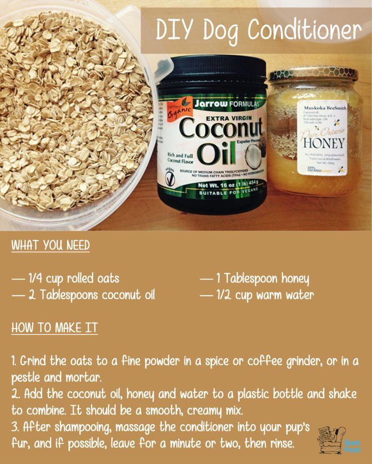 Best ideas about DIY Oatmeal Dog Shampoo
. Save or Pin 25 best ideas about Homemade dog shampoo on Pinterest Now.