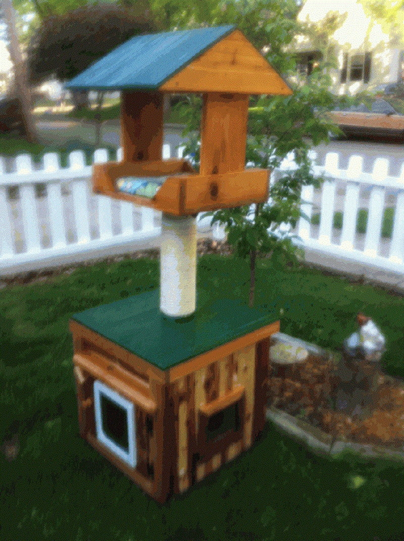 Best ideas about DIY Outdoor Cat House
. Save or Pin Detail Woodworking plans cat furniture Now.