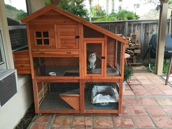 Best ideas about DIY Outdoor Cat House
. Save or Pin 10 Best images about DIY Cat Enclosures on Pinterest Now.