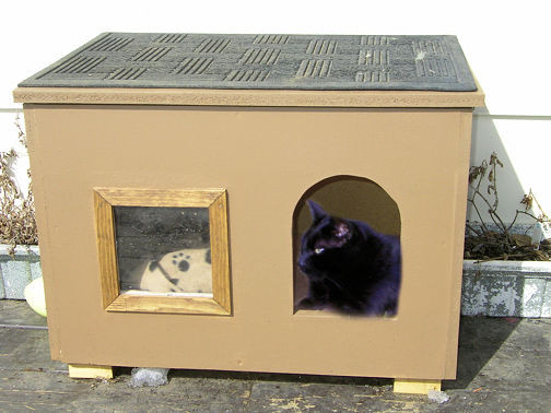 Best ideas about Diy Outdoor Cat Shelter
. Save or Pin Cat House for those chilly nights Now.