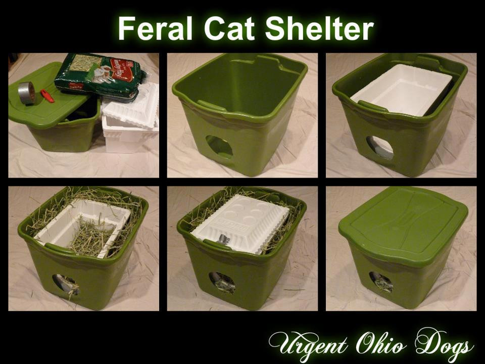 Best ideas about Diy Outdoor Cat Shelter
. Save or Pin Feral Cats on Pinterest Now.