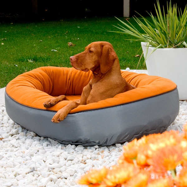 Best ideas about DIY Outdoor Dog Bed
. Save or Pin Outdoor dog bed for the summer DIY Dogs Now.