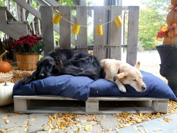 Best ideas about DIY Outdoor Dog Bed
. Save or Pin DIY Wooden Dog Beds From Euro pallets – Fresh Design Pedia Now.