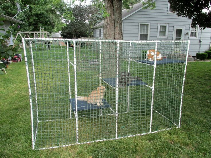 Best ideas about DIY Outdoor Dog Kennel
. Save or Pin this would be nice for my kitties PVC temporary dog kennel Now.