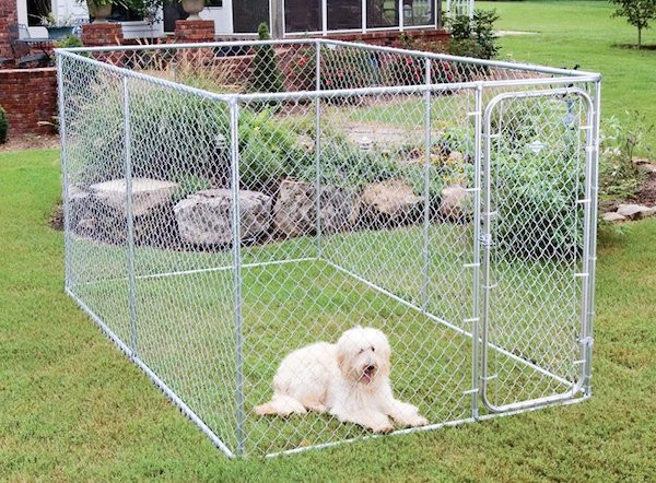 Best ideas about DIY Outdoor Dog Kennels
. Save or Pin 5 Best Outdoor Dog Kennels Canines Safe Outside [2019 Now.