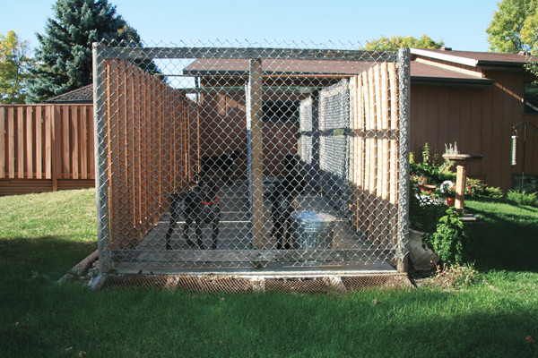 Best ideas about DIY Outdoor Dog Kennels
. Save or Pin How To Build the Perfect Dog Kennel Gun Dog Now.