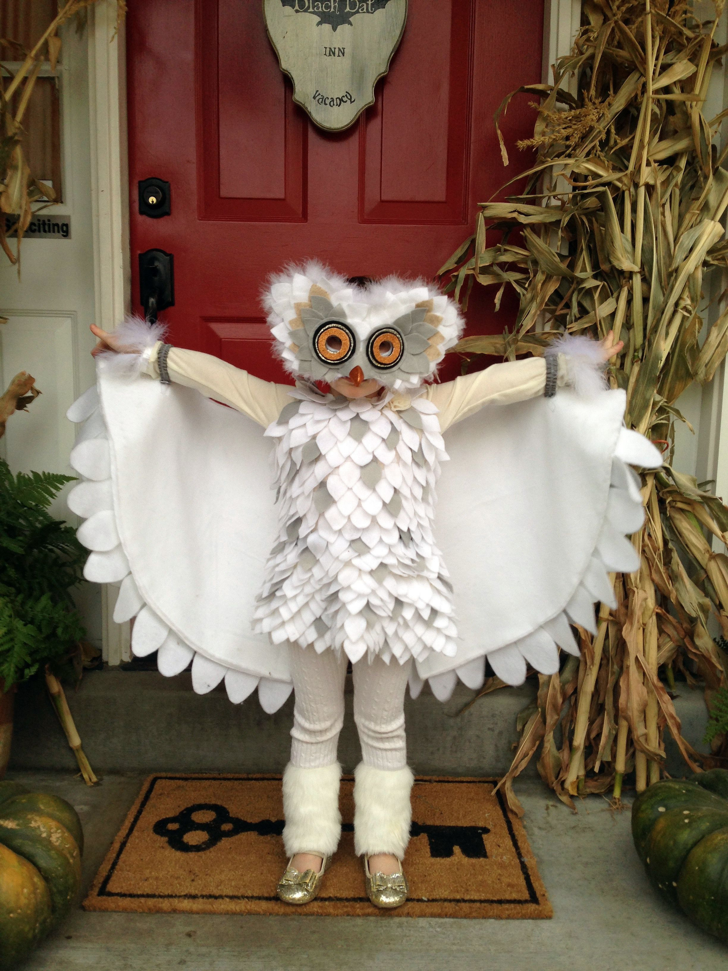 Best ideas about DIY Owl Costumes
. Save or Pin Best 25 Owl costume diy ideas on Pinterest Now.