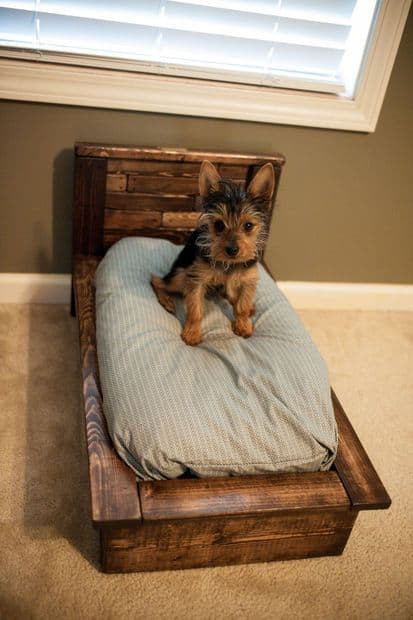 Best ideas about DIY Pallet Dog Beds
. Save or Pin How To Make The Easiest DIY Pallet Dog Bed Now.