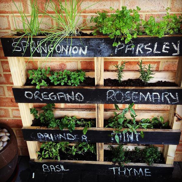 Best ideas about DIY Pallet Gardens
. Save or Pin 10 DIY Garden Ideas for Using Old Pallets Greenhouses NZ Now.