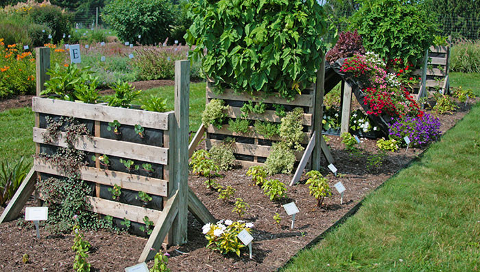 Best ideas about DIY Pallet Gardens
. Save or Pin Northeast Gardening DIY Pallet Gardens Now.