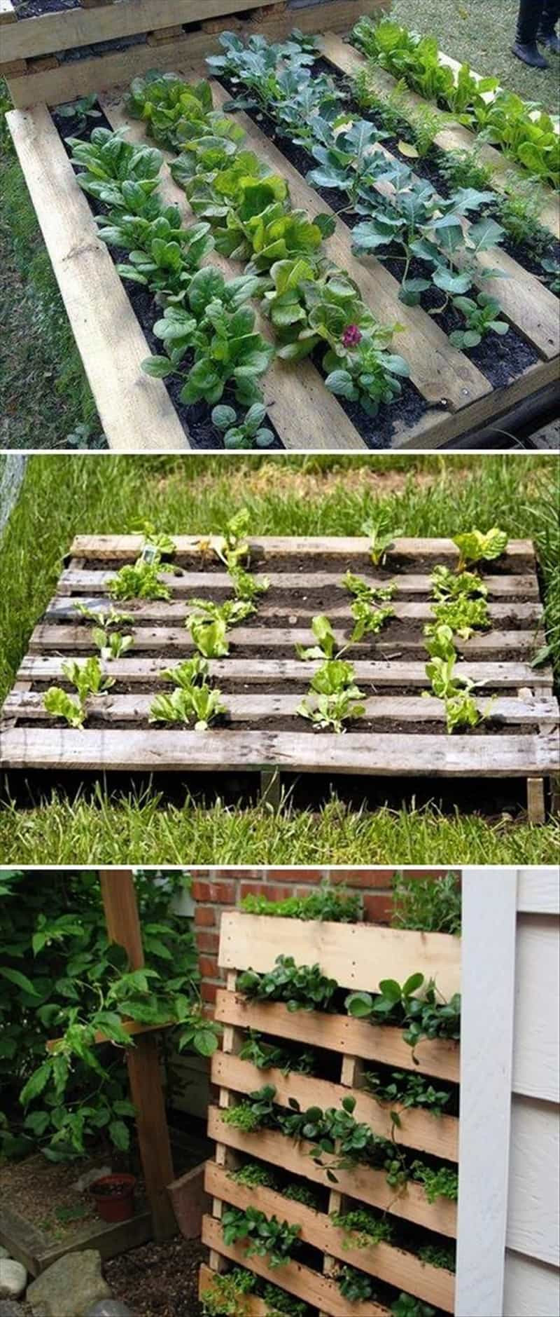 Best ideas about DIY Pallet Gardens
. Save or Pin Raised Garden Beds How to Build and Install Them Now.