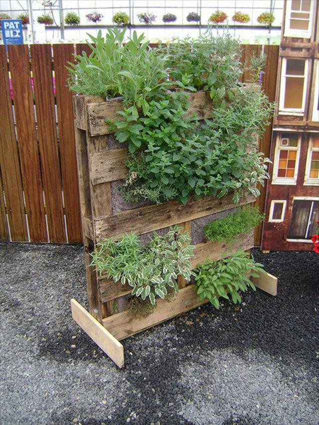 Best ideas about DIY Pallet Gardens
. Save or Pin 25 DIY Pallet Garden Projects Now.