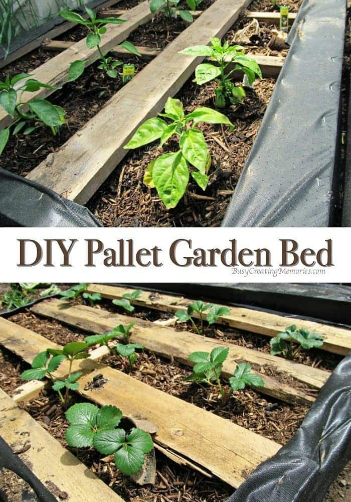 Best ideas about DIY Pallet Gardens
. Save or Pin DIY Pallet Garden How to make Raised Wood Pallet Garden Bed Now.