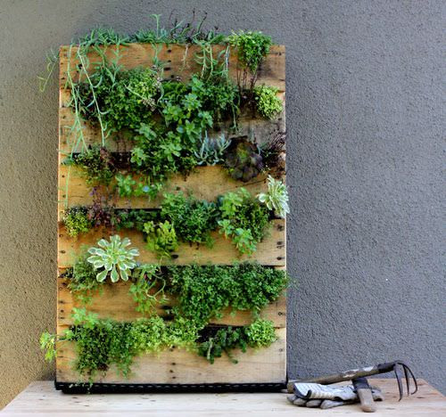 Best ideas about DIY Pallet Gardens
. Save or Pin 5 DIY Garden Ideas for Wood Pallets Now.